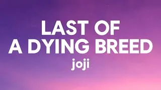 Thumbnail: Joji - Last of a Dying Breed (Lyrics)