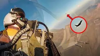 Thumbnail: Insane Action | US F-16 Pilot Shows Off Dogfight Using M61A1 Gatling Gun