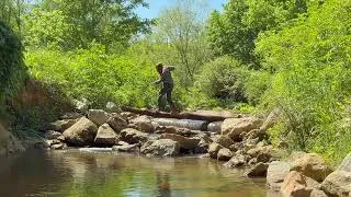 Thumbnail: Take a Walk by Aedan