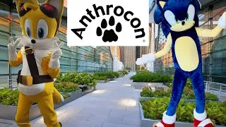 Thumbnail: Sonic and Tails go to Anthrocon 2026