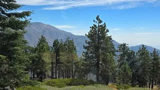 Thumbnail: Going Green - Snow Summit Big Bear, CA.