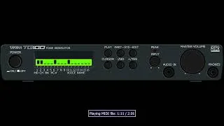 Thumbnail: Yamaha TG100 Demo (MAME)