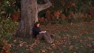 Thumbnail: Gilmore Girls Ambience | Rory’s Study Tree | La La Song Playlist | Falling Autumn Leaves White Noise