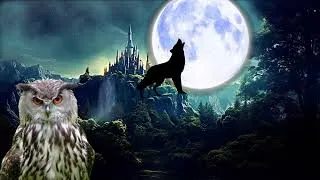 Thumbnail: wolves howling sound, wolf sound, owl singing in the night forest, owl sound, owl hoot