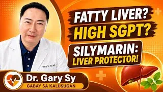 Thumbnail: Silymarin: Liver Protector - Dr. Gary Sy