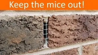 Thumbnail: DIY Weep Hole Covers - Stop the mice before they get in!