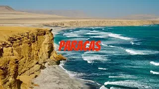 Thumbnail: PARACAS & ISOLE BALLESTAS 🇵🇪 | Fauna Selvatica e Deserti sul Pacifico del Perù