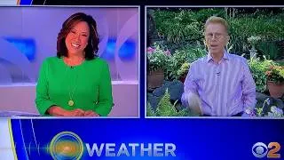 Thumbnail: CBS Feature: "No Touch Solutions"