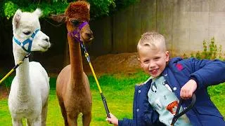 Thumbnail: Gaby and Alex take care of a baby Alpaca for a day
