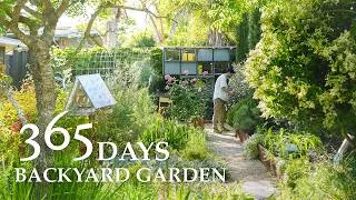 Thumbnail: A full year in Backyard Garden & Vegetable Harvesting｜Slow Suburb Life｜Year 4