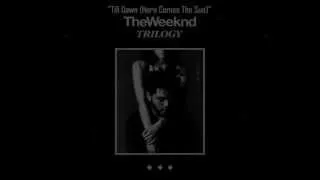 Thumbnail: The Weeknd - Till Dawn (Here Comes The Sun) [HQ] (Lyrics on Screen)
