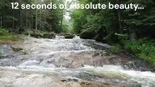 Thumbnail: 12 seconds of peace found while hiking...