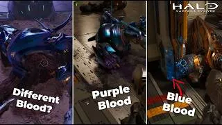 Thumbnail: 21 Amazing Details in Halo: Campaign Evolved You Probably Missed