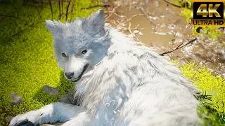 Thumbnail: Beast Of Reincarnation Finding Koo Cutscene