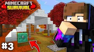 Thumbnail: Exploring the NEW Dappled Forest & Building an AMAZING Trading Hall! | Minecraft Survival EP 3