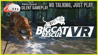 Thumbnail: Big Cat Rescue - First Minutes VR Gameplay (No Commentary) | Meta Quest 3