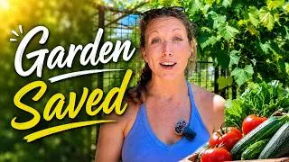 Thumbnail: 5 July Gardening Tips That Will Save Your Garden This Summer