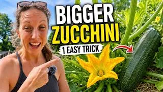 Thumbnail: Grow Massive Zucchinis with This Easy Step