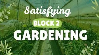 Thumbnail: Before & After: Eastdown Court Block Gardening | Satisfying Weeding & Entrance Makeover in London
