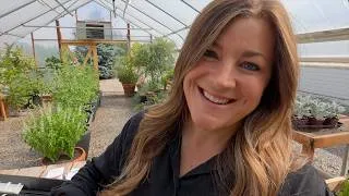 Thumbnail: Planting Zinnias & 2 Evergreens + Harvesting Cucumbers & Strawflowers! 🌸🌲🥒