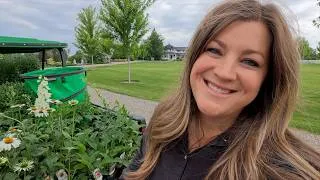 Thumbnail: Planting Up the Hebe Flower Bed & Transplanting Iris! 🌿🥰💚