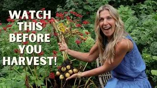 Thumbnail: How To Know If Your Potatoes Are Ready To Harvest