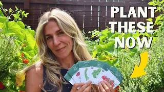 Thumbnail: 6 Veggies You Can Still Plant In July - Hot Or Not