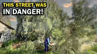 Thumbnail: This ABANDONED Home Became A NIGHTMARE For The Neighborhood
