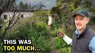 Thumbnail: The Problem That Made Mary’s Life Almost IMPOSSIBLE... | EP 5