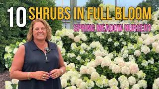 Thumbnail: Spring Meadow Nursery Garden Tour: Proven Winners® Shrubs in Full Summer Bloom | Garden Crossings