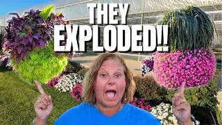Thumbnail: Container Garden Tour | Our Summer Planters EXPLODED With Color! See How They Look Now