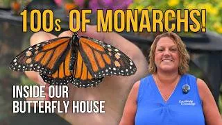 Thumbnail: Butterfly House Tour: 100s of Monarchs & Our First Release of the Season | Garden Crossings