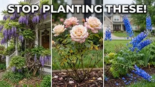 Thumbnail: 15 High-Maintenance Flowers That Are Ruining Your Curb Appeal (Stop Planting These)