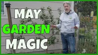 Thumbnail: Garden Tour & Garden Growth (In the Garden 5-26)