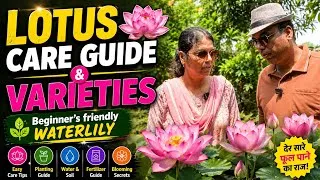 Thumbnail: 🪷 How to Grow Lotus & Waterlily at Home | | Complete Care Guide for Beginners