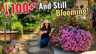 Thumbnail: 7 Heat-Tolerant Plants That Are THRIVING in My Garden!