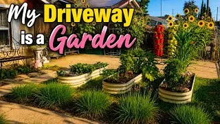 Thumbnail: Driveway Garden Tour | Raised Beds & Veggies 😀👍