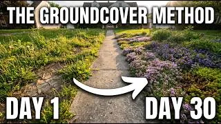 Thumbnail: From Weeds to Beautiful in 30 Days — The Ground Cover Method