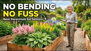 Thumbnail: Senior Gardeners Are Switching to These Easy Perennials 🌸👇
