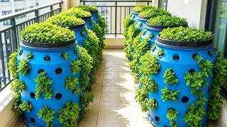 Thumbnail: 💡Save Money & Grow Food – Balcony Vegetable Garden with Recycled Materials
