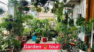 Thumbnail: मेरी एवरग्रीन बालकनी ।। इन पौधों से रहेगी बालकनी हमेशा ग्रीन ॥ permanent plants for garden 🪏 