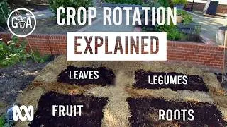 Thumbnail: What is Crop Rotation? | Gardening 101 | Gardening Australia