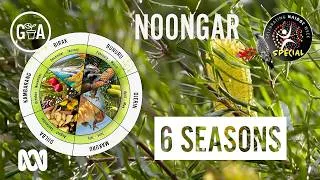 Thumbnail: Seasonal Noongar calendar | NAIDOC Week | Gardening Australia