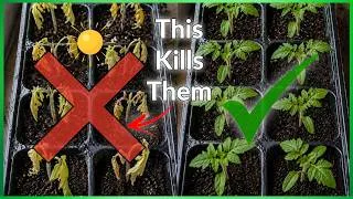 Thumbnail: How to Harden Off Seedlings (Without Killing Them)