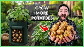 Thumbnail: How to Grow Potatoes (Beginner’s Step-by-Step Guide)