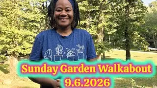 Thumbnail: Sunday Garden Walkabout. It's Hot 🔥.  Flowers, Container Plants and Garden Bed Updates