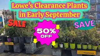Thumbnail: Lowe's Garden Center Clearance Plants In Early September. Great Deals.