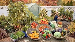 Thumbnail: Late fall harvest | Pruning, Garden support & Clean Up