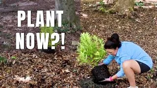 Thumbnail: Forget the Calendar! Your Garden Will Tell You When to Plant