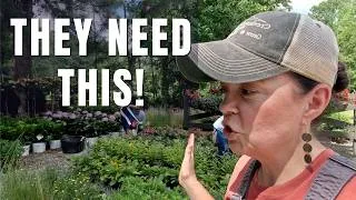 Thumbnail: Don't Stop Gardening! Pollinators NEED These Late-Summer Plants